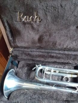 B-Trompete Bach Stradivarius 37 Silber - Neu Ulm