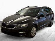 Skoda Octavia, 2.0 TDI Ambition, Jahr 2019 - Großenkneten