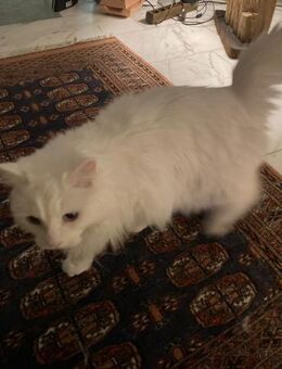 WILMA & BETTY suchen ihre Zukunft - Bad Camberg