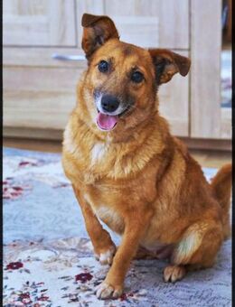 Lass ein Wintermärchen war werden! - Stuttgart