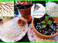 ♥ BIO Agrar PERLITE für besten Boden für Aussaaten,Stecklinge,1 x Gratis Garten Tulpenstolz,Gesunde Pflanzen, Kübel Drainage - Hamburg