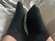 Getragene Socken 2 Tage - Herford (Hansestadt)