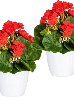 Kunstpflanze Havel Geranie, Home affaire, Höhe 24 cm, im Topf, 2er Set