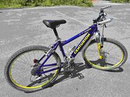 Mountainbike "Centurion" - Trier