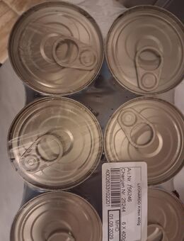 Kittenfutter - Taucha