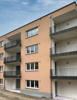 Neubaumietwohnungen in TOP-Lage von Horb-Hohenberg / Erstbezug! - Horb (Neckar)