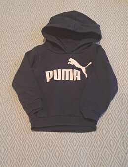 Hoodie von Puma. Gr. 68 - Berlin