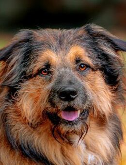 SLY - menschenbezogen&sensibel - Betzenstein