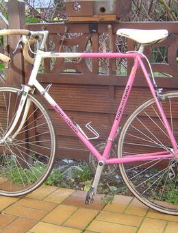 Koga Miyata Prologue Rennrad - Eppelheim