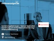 Sanierungsbetreuer / Senior Spezialist Sanierung (m/w/d) Restrukturierung / Intensivbetreuung - Bad Homburg (Höhe)