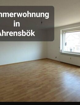 Schöne 2 Zimmerwohnug in Ahrensbök - Ahrensbök