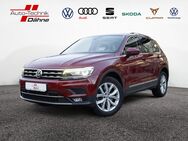 VW Tiguan, 2.0 TDI Highline, Jahr 2019 - Wittenberge