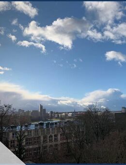 Helle Dachgeschosswohnung mit großer Dachterrasse am Wöhrder See - Nürnberg