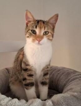 Jade - soooo süß, seht selbst > Video - Poing