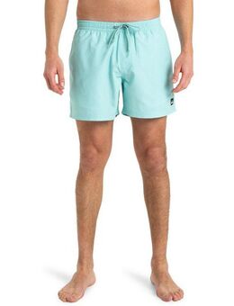 Quiksilver Boardshorts Everyday Solid Volley 15"