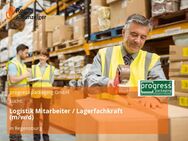 Logistik Mitarbeiter / Lagerfachkraft (m/w/d) - Regensburg