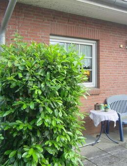 Charmante Doppelhaushälfte mit Terrasse & Garten in ruhiger Lage - Bernau (Berlin)