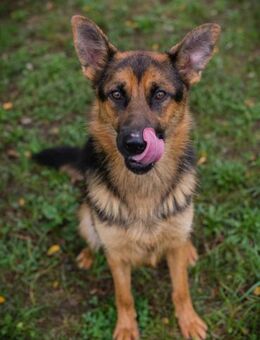 JÖRDI - engagiert lernwillig und sozial - Overath