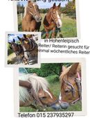 Reitbeteiligung in 04934