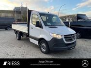 Mercedes Sprinter, 317 Pritsche RS3665mm, Jahr 2023 - Ravensburg