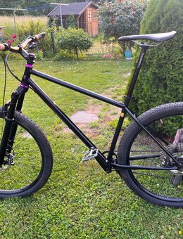 SOUR Pasta Party, Größe L, 29er, MTB Hardtail - Pirna