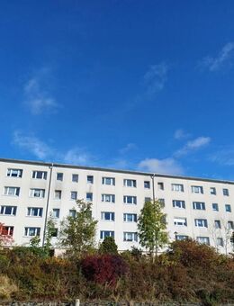 4-Raum-Wohnung im Grünen - Wurzbach