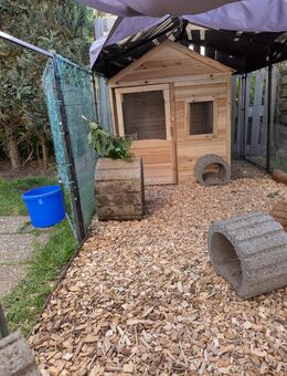 Hasen Kaninchen Zwergkaninchen Hühnerstall - Neuhausen (Fildern)