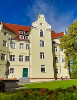 Exklusive Schloßwohnung mit atemberaubendem Panorama - Erolzheim