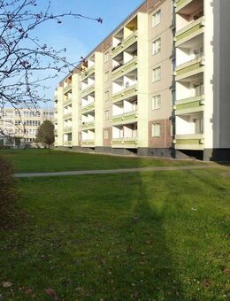 41,75 m² - 2. OG - 2-Raum-Wohnung - Seeland