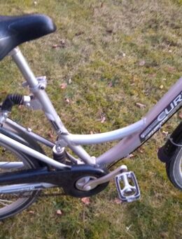 Damen Fahrrad 28 zool. 7 gang. Nabendynamo. Neuwertig! - Heide