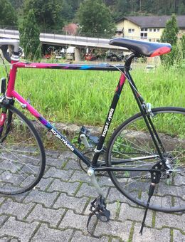 Rennrad Koga Miyata Exerciser - Hirschhorn (Neckar)
