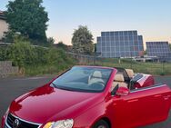 VW Eos 1.6 FSI Cabrio Ambiente Beleuchtung - Hünfeld (Konrad-Zuse-Stadt)