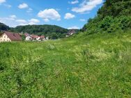 Naturnahes Grundstück für Ihren Traum vom Eigenheim - Simmelsdorf