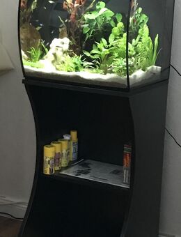 Komplettes Aquarium mit Besatz (Fische) und Zubehör aus Nichtraucherhaushalt, in gute Hände abzugeben: - Krefeld