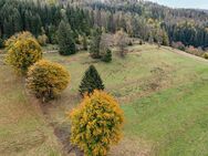 Wiesen- und Waldfläche im Thüringer Wald - Schleusegrund