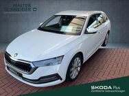 Skoda Octavia, 2.0 TDI Combi Style, Jahr 2020 - Siegen (Universitätsstadt)