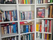 Bücherregal (Eck-) Kombi (IKEA > Blaues Billy mit Glastüren) - Augsburg