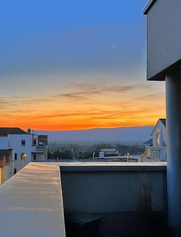 Skyline-Flair trifft smartes Wohngefühl - Maisonette mit Panorama & XXL Dachterrasse - inkl. Video! - Ingelheim (Rhein)