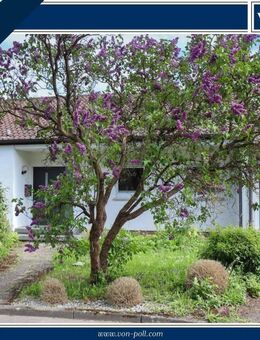 Alles auf einer Ebene - Einfamilienhaus mit großem Grundstück in ruhiger Ortsrandlage - Nehren (Baden-Württemberg)