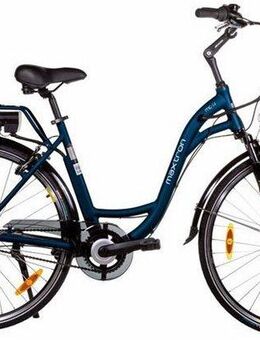 Maxtron E-Bike Cityrad MC 14, 3 Gang Shimano Nexus Schaltwerk, Nabenschaltung, Frontmotor, 360 Wh, Pedelec, Elektrofahrrad für Damen u. Herren