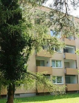 Sonnige 3 Zimmer-Wohnung mit Balkon - Straubing