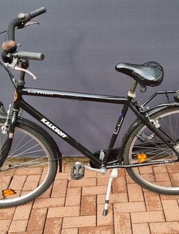 Kalkhoff City Shopper 28er Herrenfahrrad Shimano 7 Gangschaltung - Verden (Aller)