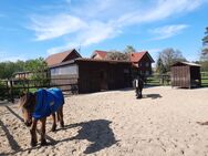 Offenstallplatz in 2er Gruppe frei - Schloß Holte-Stukenbrock Schloß Holte