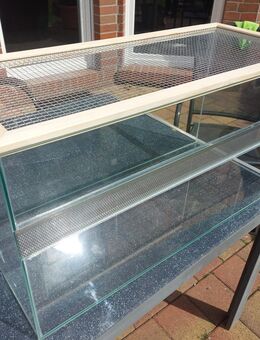 Nagerterrarium - Nordkirchen