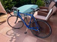 Rennrad 28 Zoll - Trier