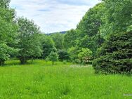 Herrliche Aussichtslage! 2.400 qm Baugrund mit Altbestand am Südhang von Sankt Englmar - Sankt Englmar