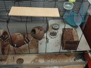 Käfig Nagarium zwei Stück - Escheburg
