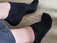 Sneakersocken abzugeben mit persönlicher Übergabe - Berlin