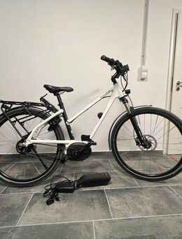 Damen E-Bike Riese & Müller - Ichenhausen