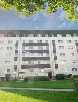 Singlewohnung. - Prenzlau